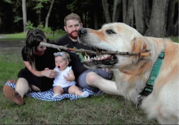 When Animals Master The Photobomb Game (25 photos)
