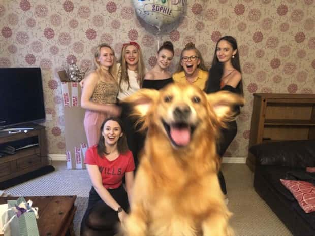 When Animals Master The Photobomb Game (25 photos)