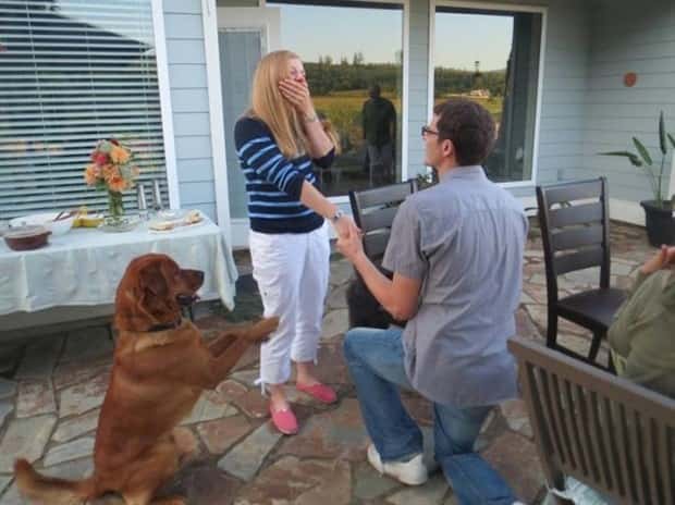 When Animals Master The Photobomb Game (25 photos)