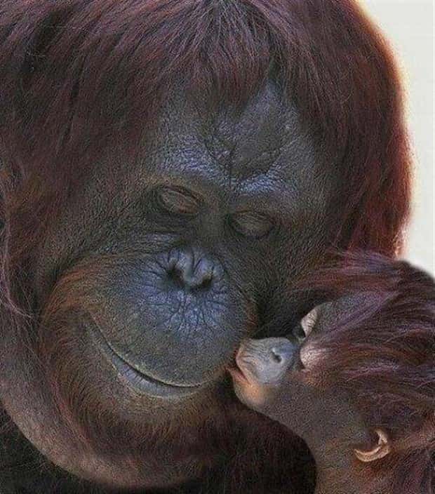 Awesome Pictures You Shouldn’t Miss #192 (19 photos)