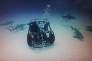 Awesome Pictures You Shouldn’t Miss #192 (19 photos)