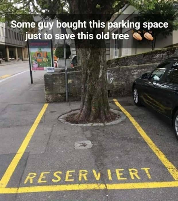 Awesome Pictures You Shouldn’t Miss #190 (21 photos)