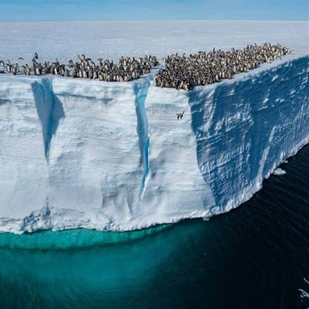 Awesome Pictures You Shouldn’t Miss #190 (21 photos)