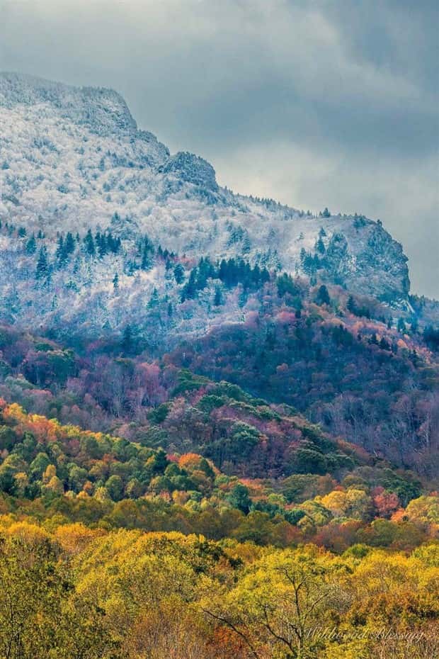 Awesome Pictures You Shouldn’t Miss #190 (21 photos)