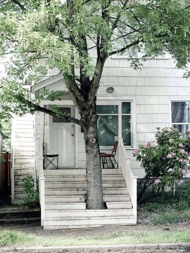 Awesome Pictures You Shouldn’t Miss #193 (18 photos)