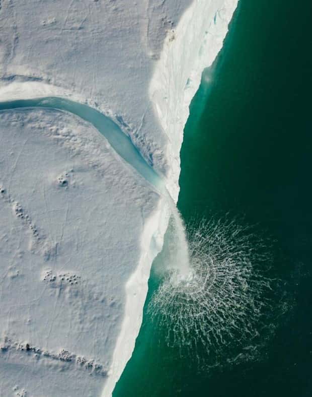 Awesome Pictures You Shouldn’t Miss #190 (21 photos)