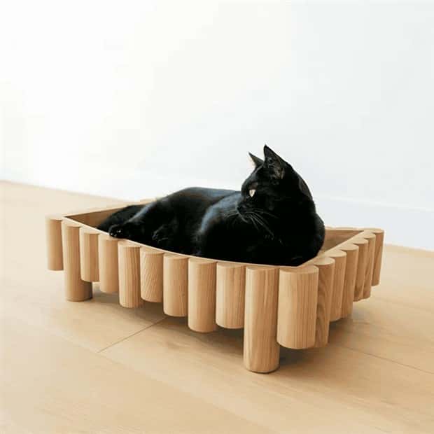 Elevate Your Home With Cat Furniture (40 photos)