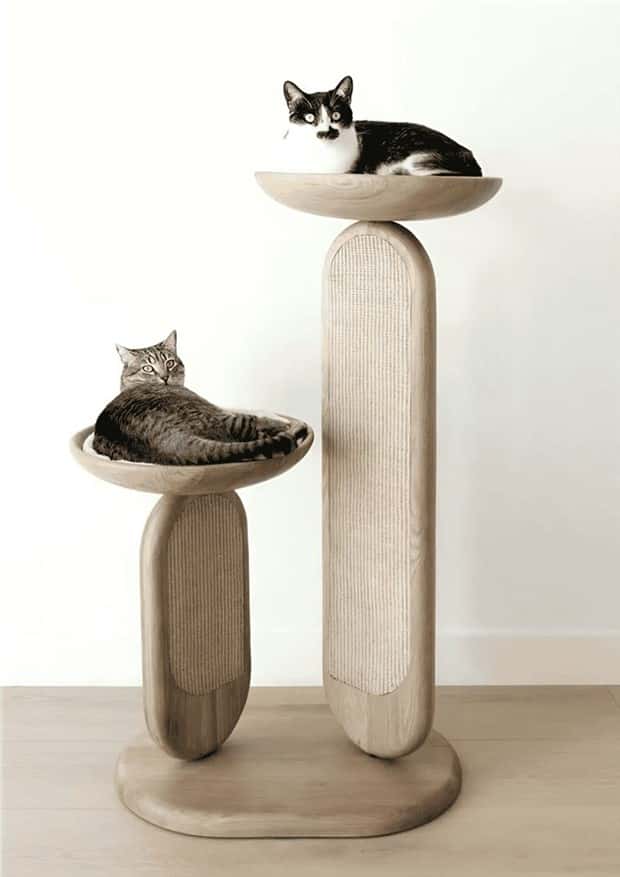 Elevate Your Home With Cat Furniture (40 photos)