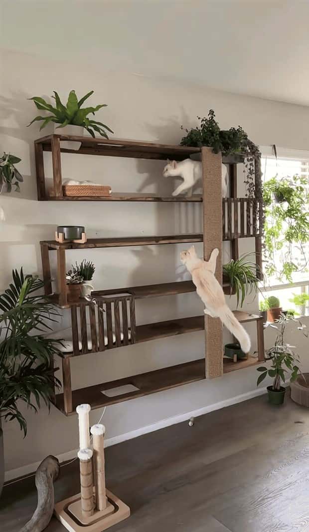 Elevate Your Home With Cat Furniture (40 photos)