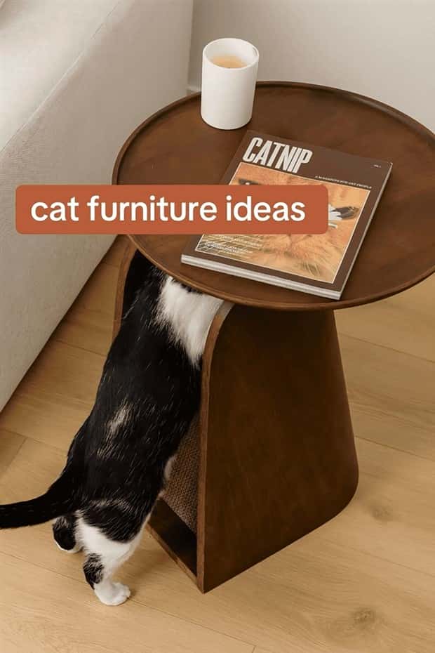 Elevate Your Home With Cat Furniture (40 photos)