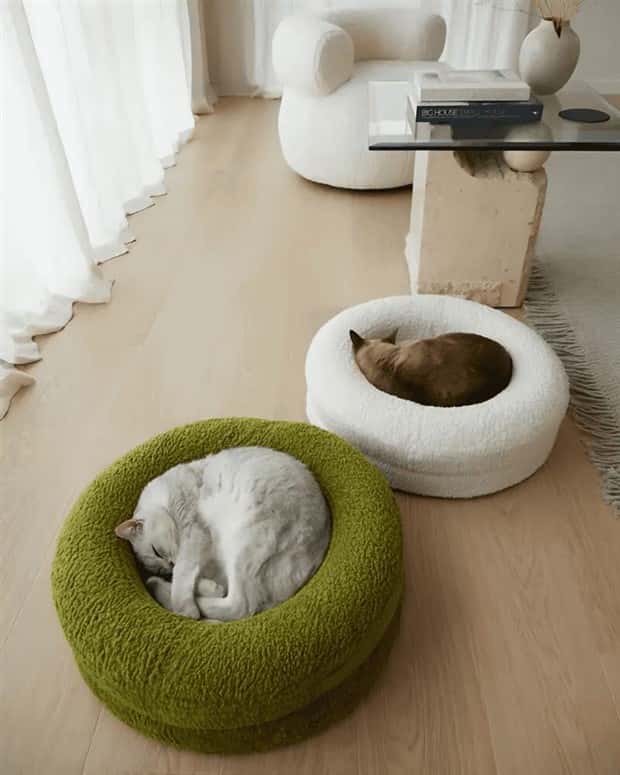 Elevate Your Home With Cat Furniture (40 photos)