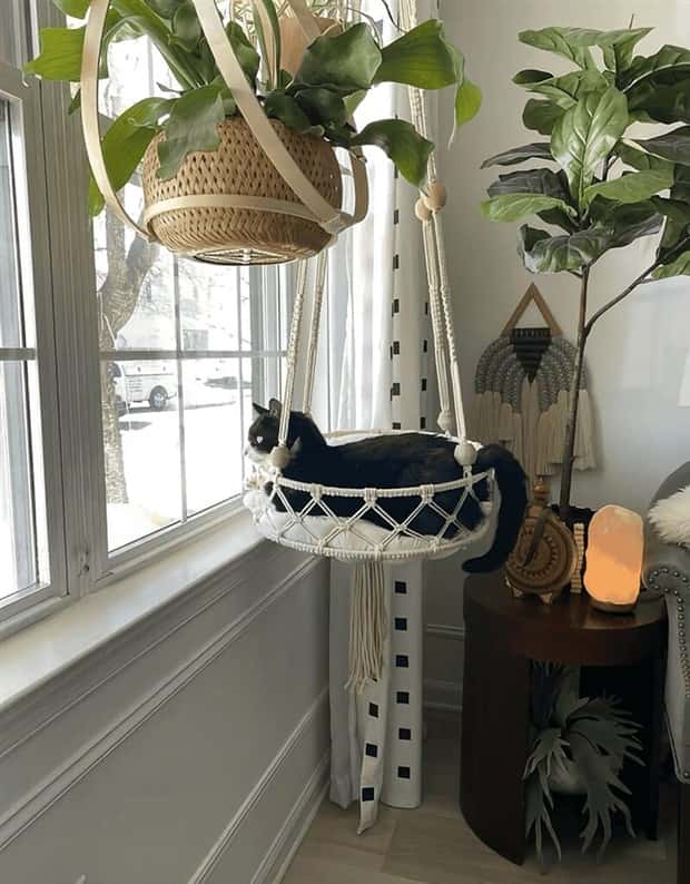 Elevate Your Home With Cat Furniture (40 photos)