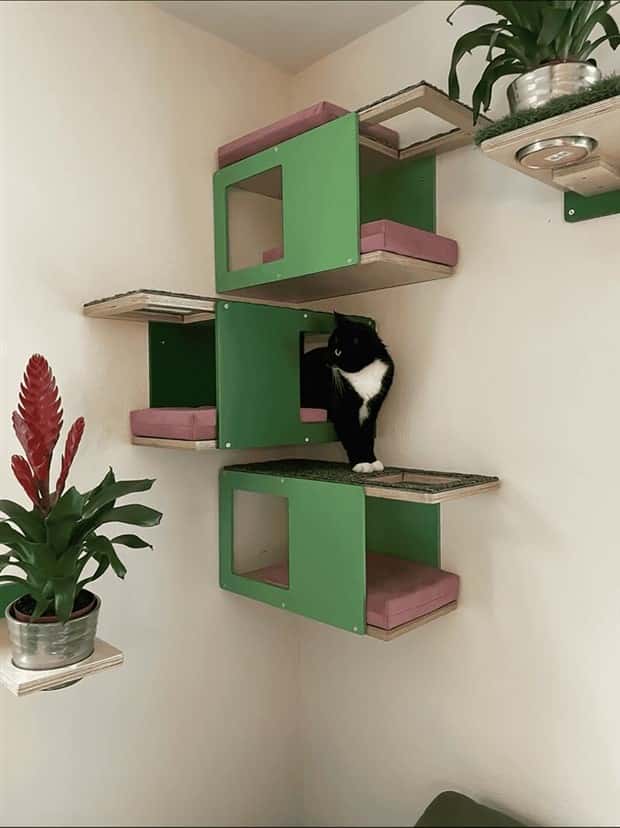 Elevate Your Home With Cat Furniture (40 photos)