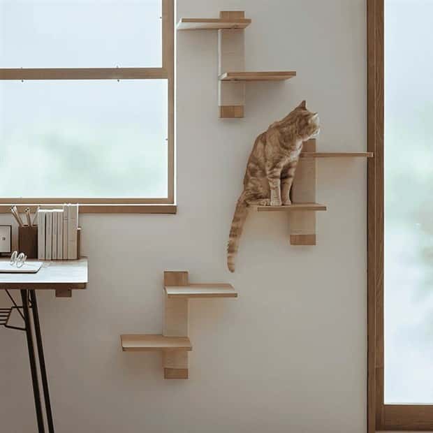 Elevate Your Home With Cat Furniture (40 photos)