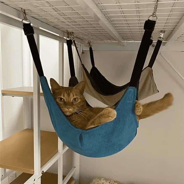 Elevate Your Home With Cat Furniture (40 photos)