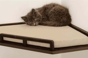 Elevate Your Home With Cat Furniture (40 photos)