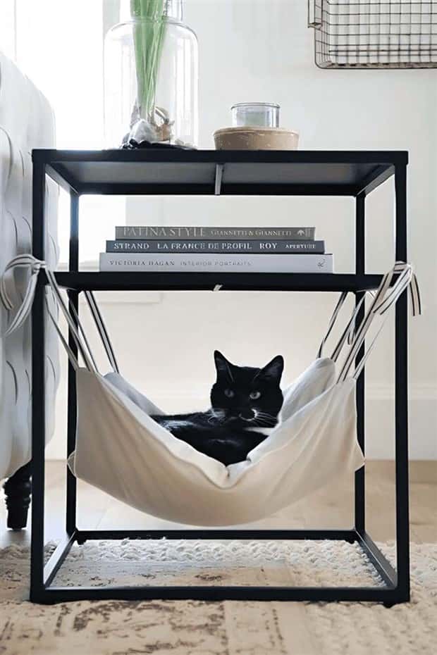 Elevate Your Home With Cat Furniture (40 photos)