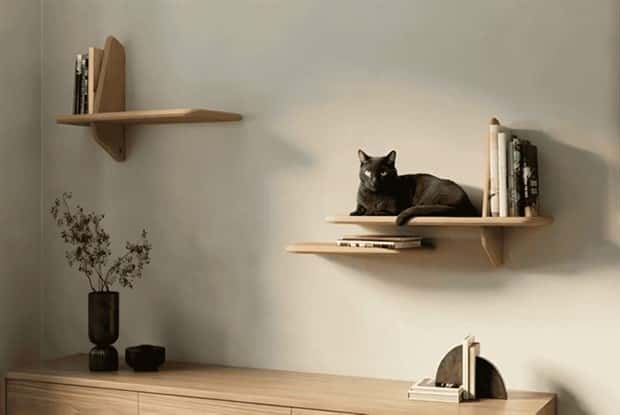 Elevate Your Home With Cat Furniture (40 photos)