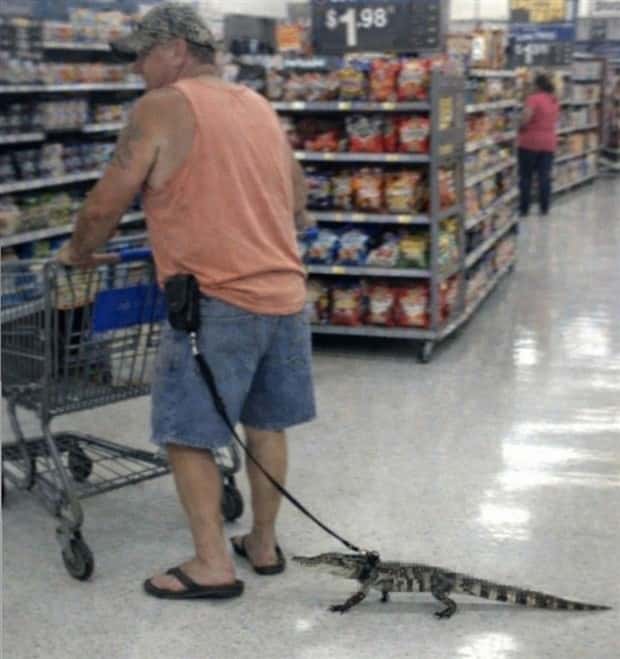 common sense fails 14 Common Sense is Not So Common (23 photos)