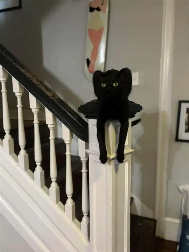 30 Shots Taken From Perfectly Confusing Angles (30 photos)