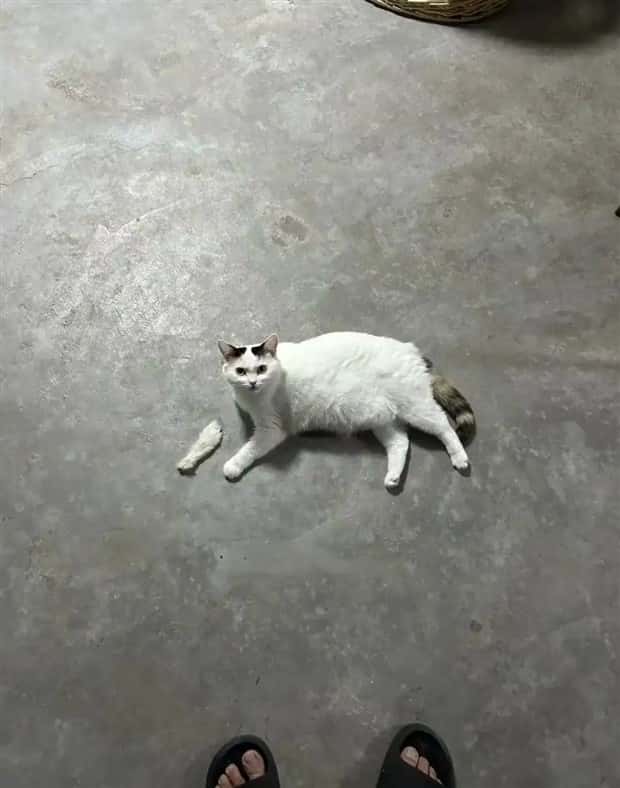 30 Shots Taken From Perfectly Confusing Angles (30 photos)