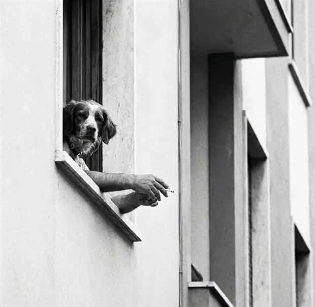 30 Shots Taken From Perfectly Confusing Angles (30 photos)