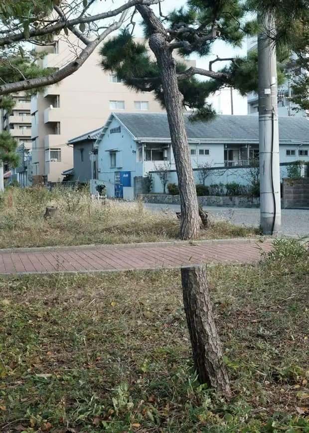 30 Shots Taken From Perfectly Confusing Angles (30 photos)