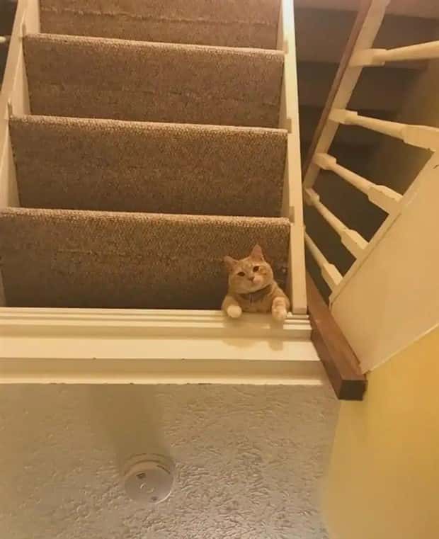 30 Shots Taken From Perfectly Confusing Angles (30 photos)