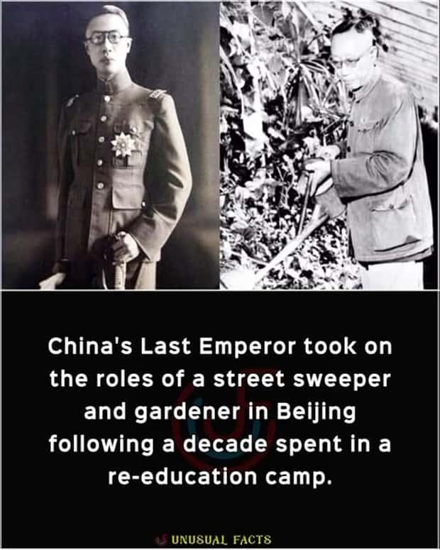 Cool and Interesting Facts #468 (24 photos)