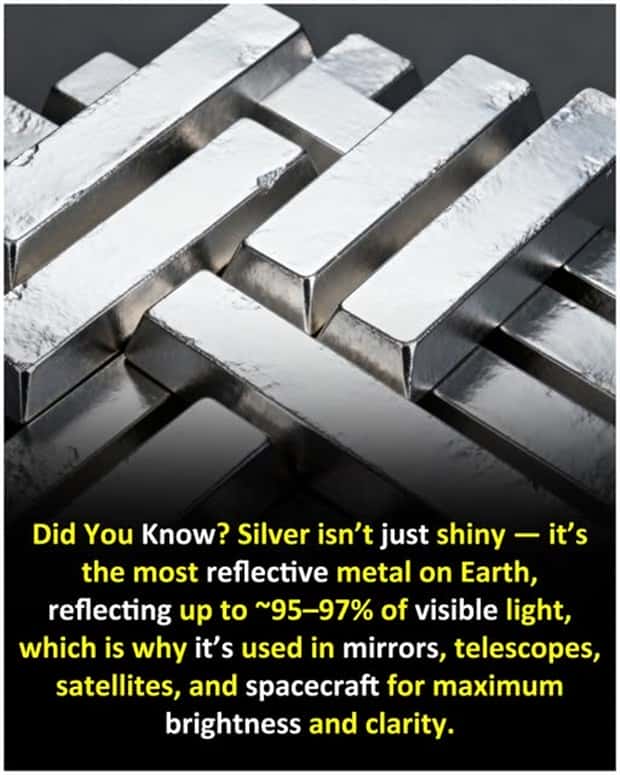 Cool and Interesting Facts #468 (24 photos)