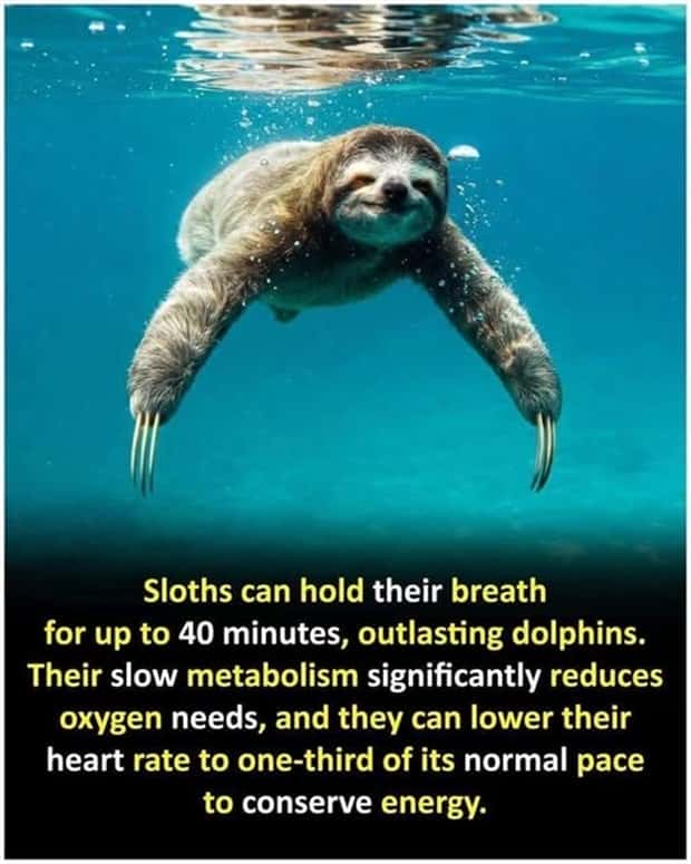 Cool and Interesting Facts #468 (24 photos)
