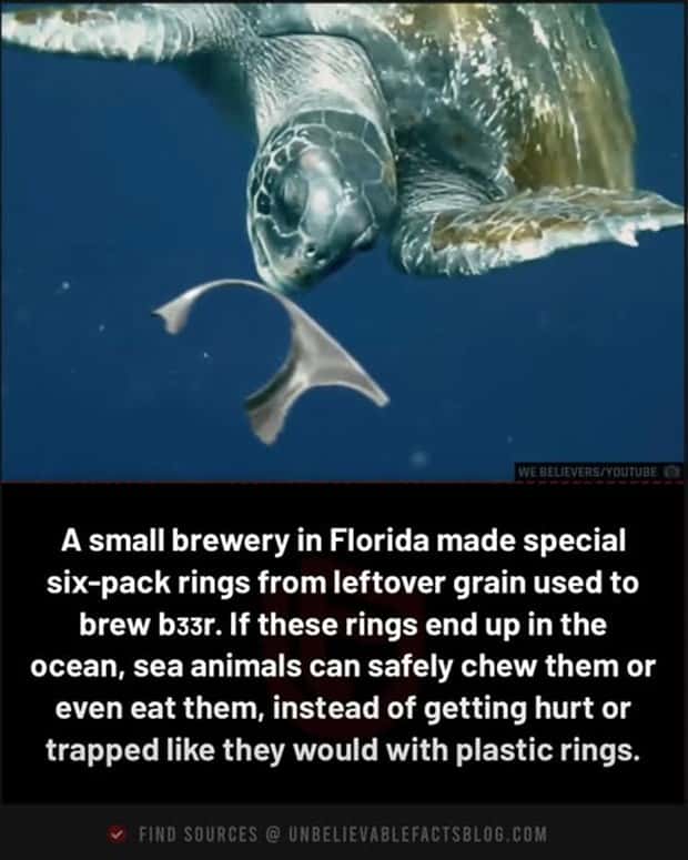Cool and Interesting Facts #468 (24 photos)