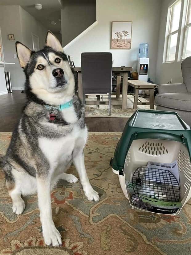 24 Online Buys That Turned Into Regret (24 photos)