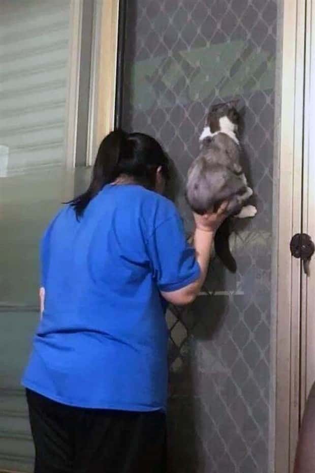 Get Ready for Funny Animals #425 (21 photos)