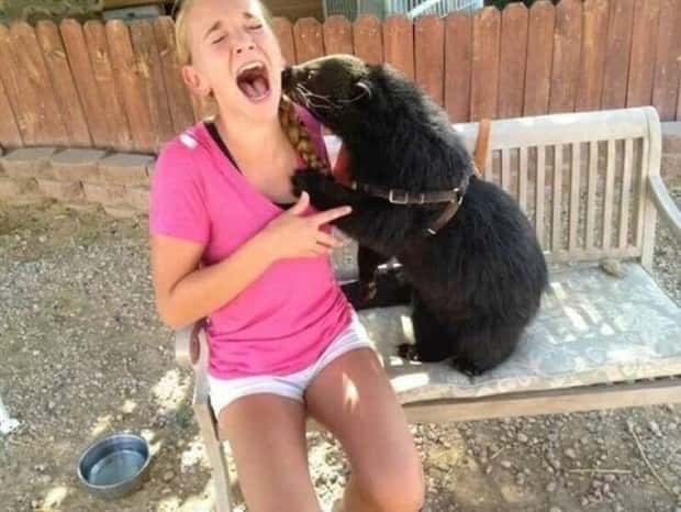 Get Ready for Funny Animals #426 (20 photos)