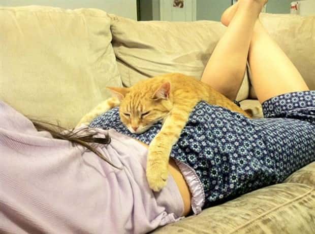 Get Ready for Funny Animals #426 (20 photos)