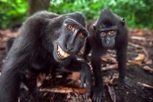 Get Ready for Funny Animals #427 (24 photos)