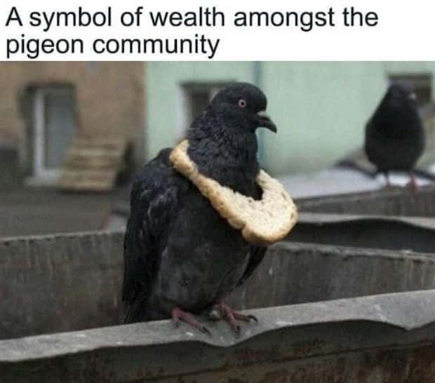 Funny Pics and Memes to Make You Laugh #194 (23 photos)