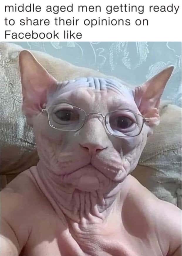 Funny Pics and Memes to Make You Laugh #194 (23 photos)