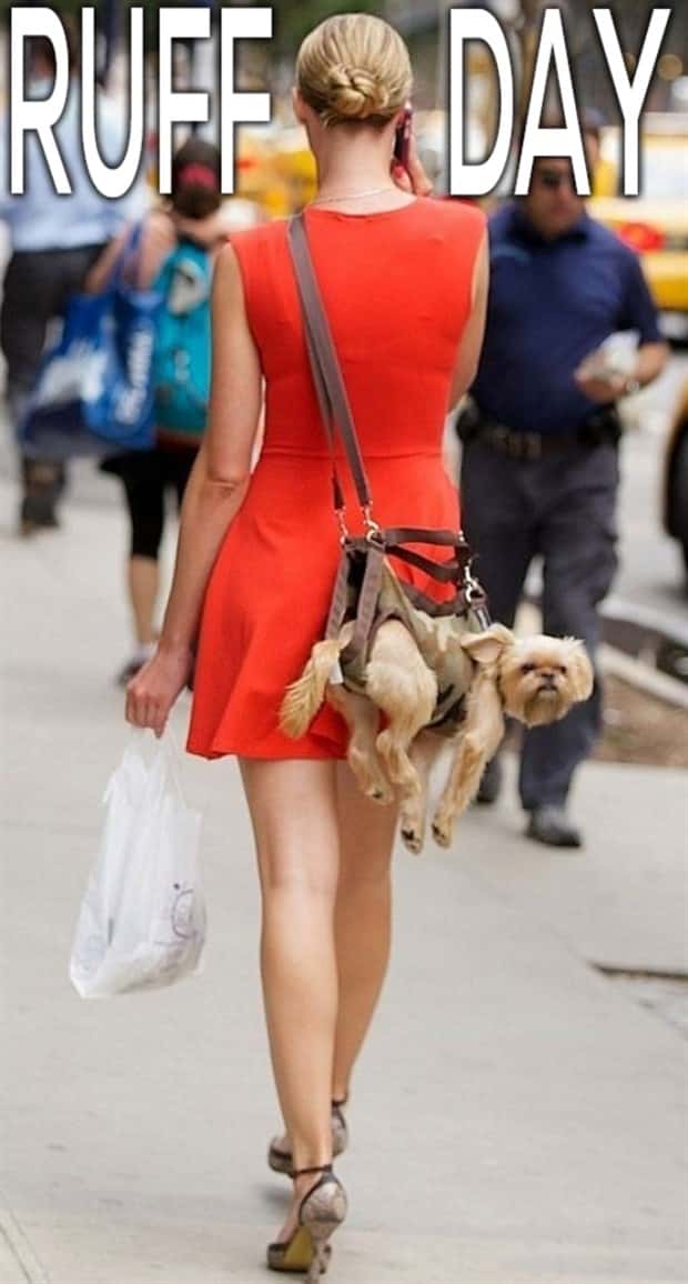 Funny Pics and Memes to Make You Laugh #194 (23 photos)