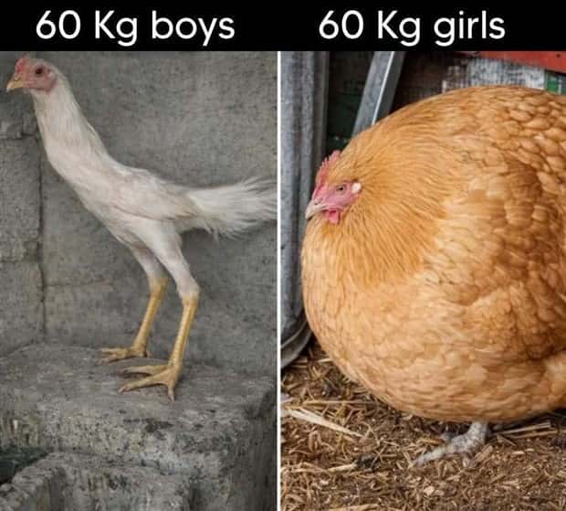 Funny Pics and Memes to Make You Laugh #194 (23 photos)