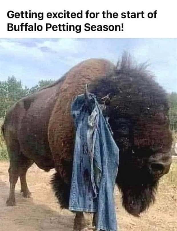 Funny Pics and Memes to Make You Laugh #196 (24 photos)