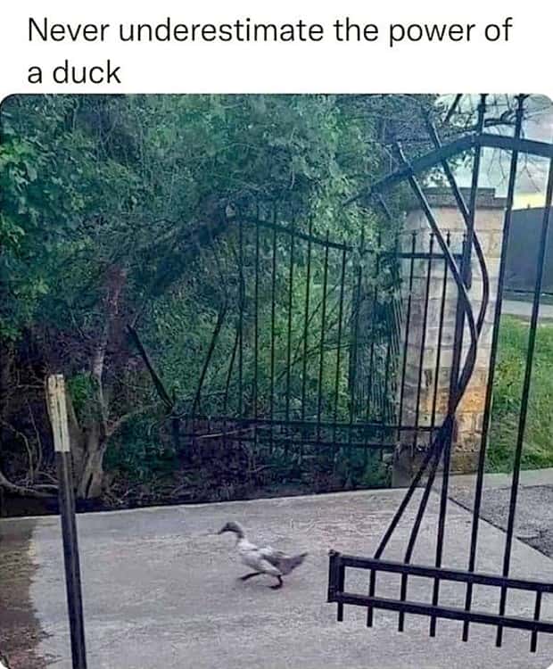 funny pics and memes 15 Funny Pics and Memes to Make You Laugh #193 (22 photos)