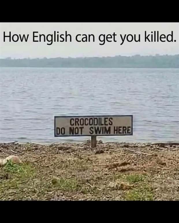 funny pics and memes 5 Funny Pics and Memes to Make You Laugh #193 (22 photos)