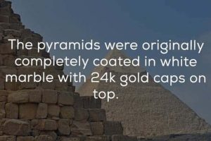 22 Odd History Facts You Never Knew (22 photos)