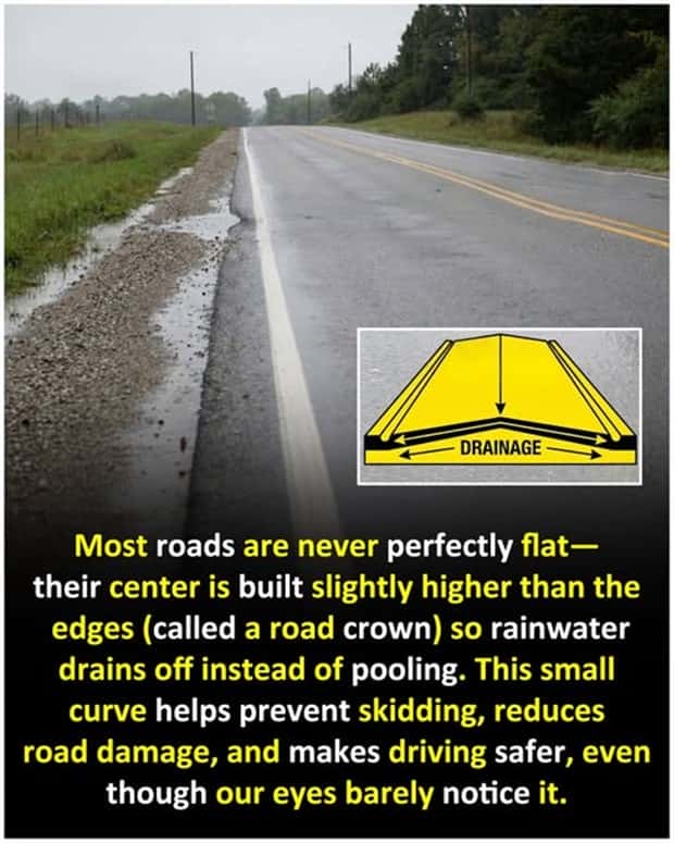 Cool and Interesting Facts #470 (22 photos)