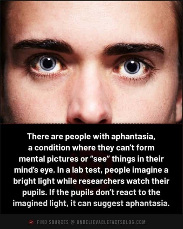 Cool and Interesting Facts #470 (22 photos)