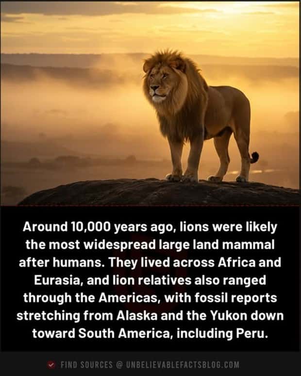 Cool and Interesting Facts #470 (22 photos)