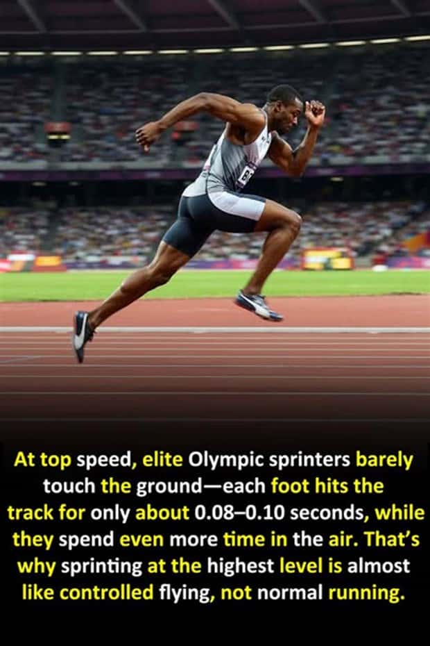 Cool and Interesting Facts #470 (22 photos)