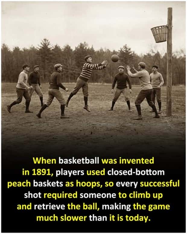 Cool and Interesting Facts #470 (22 photos)